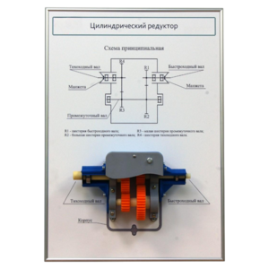 Плакат планшет с демонстрационной моделью «Цилиндрический редуктор» - fgospostavki.ru - Дмитров