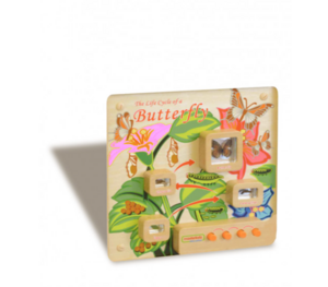 Панель «Жизненный цикл бабочки» - fgospostavki.ru - Дмитров