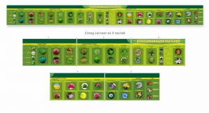 Стенд "Классификация растений" - fgospostavki.ru - Дмитров