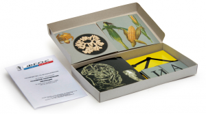 Модель-аппликация "Основные направления эволюции" (набор из 33 карт) - fgospostavki.ru - Дмитров