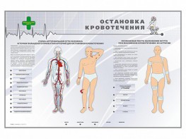 Электрифицированный стенд "Остановка кровотечения" - fgospostavki.ru - Дмитров