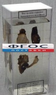 Влажный препарат "Внутреннее строение брюхоногого моллюска" - fgospostavki.ru - Дмитров