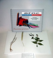 Гербарий "Кормовые растения" (20 видов) - fgospostavki.ru - Дмитров