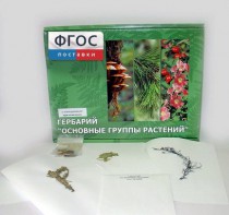 Гербарий "Основные группы растений" (52 листа) - fgospostavki.ru - Дмитров