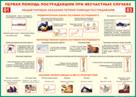Таблица "Общий порядок оказания первой помощи пострадавшим" (100х140 сантиметров, винил) - fgospostavki.ru - Дмитров