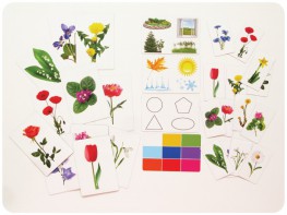 Набор магнитных карточек "Загадки-отрицания". Цветы - fgospostavki.ru - Дмитров