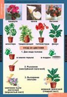 Комплект таблиц. Окружающий мир 1 класс. - fgospostavki.ru - Дмитров