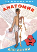 DVD "Анатомия для детей" - fgospostavki.ru - Дмитров
