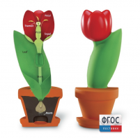 Модель цветка - fgospostavki.ru - Дмитров