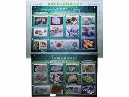 Комбинированный модульный комплекс "Лого-биолог" - fgospostavki.ru - Дмитров