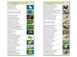 Комплект карточек (10) "Обучающий калейдоскоп. Природа" - fgospostavki.ru - Дмитров