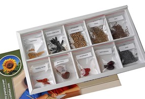 Коллекция "Плоды сельскохозяйственных растений" - fgospostavki.ru - Дмитров