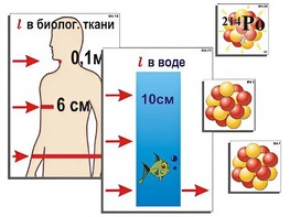 Модель-аппликация "Явление радиоактивности" (ламинированная) - fgospostavki.ru - Дмитров