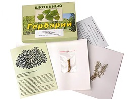 Гербарий "Водоросли. Грибы. Лишайники" (раздаточный) - fgospostavki.ru - Дмитров
