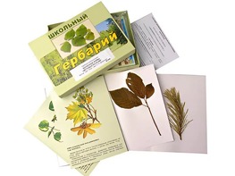 Гербарий "Жизненные формы цветковых растений" (раздаточный) - fgospostavki.ru - Дмитров
