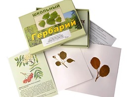 Гербарий "Систематика растений. Семейство Розоцветные" (раздаточный) - fgospostavki.ru - Дмитров