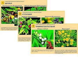 Гербарий фотографический "Ядовитые растения" - fgospostavki.ru - Дмитров