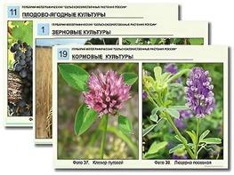 Гербарий фотографический "Сельскохозяйственные растения России" - fgospostavki.ru - Дмитров
