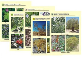 Гербарий фотографический по географии - fgospostavki.ru - Дмитров