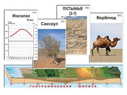 Модель-аппликация "Природные зоны" - fgospostavki.ru - Дмитров