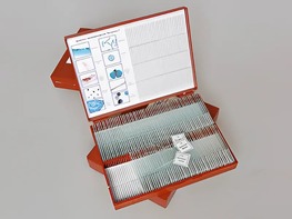 Комплект микропрепаратов "Ботаника 1" - fgospostavki.ru - Дмитров