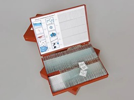 Комплект микропрепаратов "Ботаника 2" - fgospostavki.ru - Дмитров