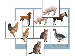 Логопедическое лото "Домашние животные" (4 планшета, 24 карточки, цветное, ламинированное) - fgospostavki.ru - Дмитров