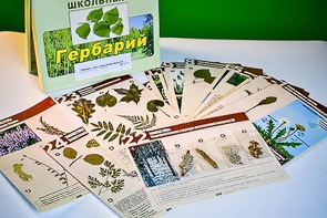 Гербарий к курсу основ общей биологии - fgospostavki.ru - Дмитров