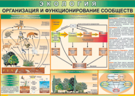 Таблица "Организация и функционирование сообществ" (100х140 сантиметров, винил) - fgospostavki.ru - Дмитров