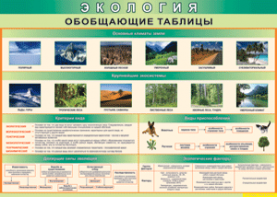 Таблица "Экология. Обобщающие таблицы" (100х140 сантиметров, винил) - fgospostavki.ru - Дмитров