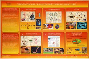 Электрифицированный стенд «Эпизоотология сельскохозяйственных животных» - fgospostavki.ru - Дмитров