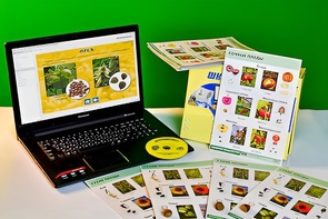 Коллекция натурально-интерактивная "Семена и плоды" - fgospostavki.ru - Дмитров