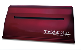 Принтер для печати рельефно-точечным шрифтом Брайля Trident - fgospostavki.ru - Дмитров
