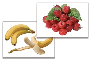 Дидактическое пособие "Фрукты, ягоды, орехи" (24 карточки) - fgospostavki.ru - Дмитров