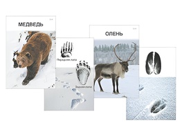Комплект дидактических карточек "Следы на снегу" - fgospostavki.ru - Дмитров