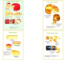 Плакаты ПРОФТЕХ "Ассортимент сыров" (9 пл, винил, 70х100) - fgospostavki.ru - Дмитров