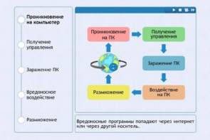 Интерактивные курсы. Информатика 10 класс . Базовый. - fgospostavki.ru - Дмитров
