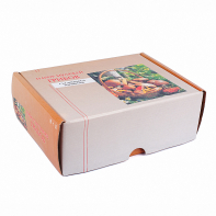 Набор муляжей грибов съедобных и ядовитых - fgospostavki.ru - Дмитров