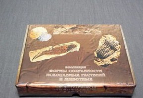 Коллекция "Формы сохранности ископаемых растений и животных" - fgospostavki.ru - Дмитров
