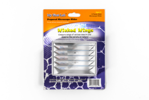 Набор микропрепаратов для микроскопа №5 «Насекомые» - fgospostavki.ru - Дмитров