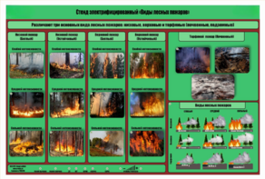 Стенд-планшет электрифицированный «Виды лесных пожаров»  - fgospostavki.ru - Дмитров