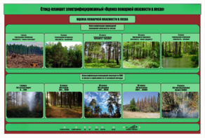 Стенд-планшет электрифицированный «Оценка пожарной опасности в лесах»  - fgospostavki.ru - Дмитров