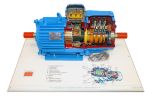 Стенд-планшет «Асинхронный двигатель с фазным ротором» - fgospostavki.ru - Дмитров