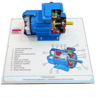 Стенд-планшет «Асинхронный двигатель с короткозамкнутым ротором» - fgospostavki.ru - Дмитров