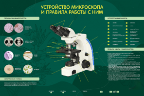 Электрифицированный стенд "Устройство микроскопа и правила работы c ним" - fgospostavki.ru - Дмитров