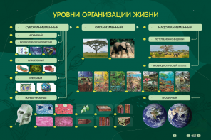 Электрифицированный стенд "Уровни организации жизни" - fgospostavki.ru - Дмитров