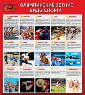 Стенд "Олимпийские летние виды спорта" - fgospostavki.ru - Дмитров
