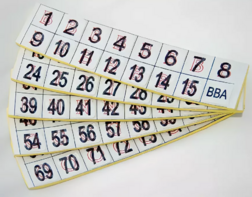 Фишки для игры «Бинго» со шрифтом Брайля - fgospostavki.ru - Дмитров