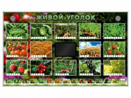 Комплект оборудования "Живой уголок" (растения) - fgospostavki.ru - Дмитров
